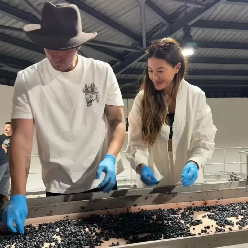 Ad günündə üzüm yığdı