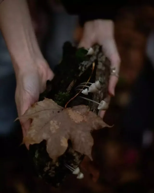 Leyla Əliyeva Altıağacda