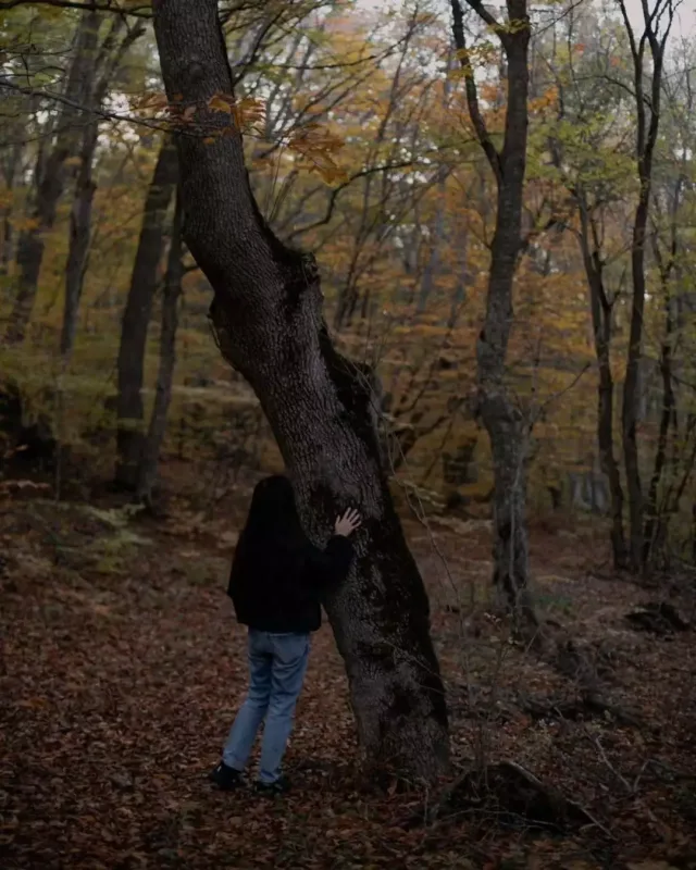 Leyla Əliyeva Altıağacda