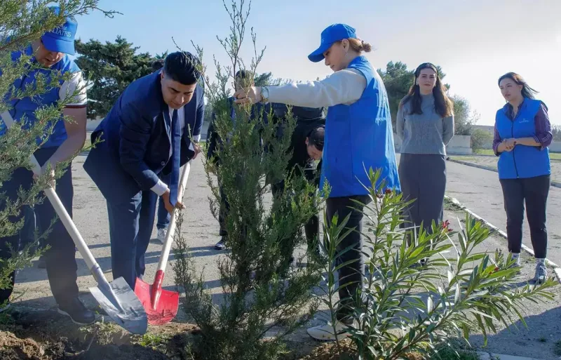 Ruhiyyə Əliyeva kollektivi ilə ağac əkdi