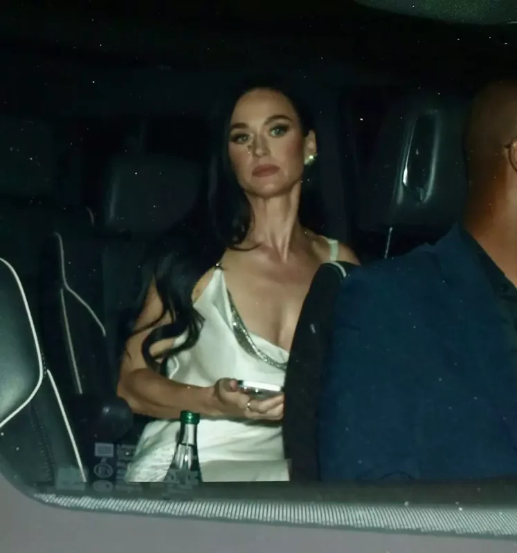 Leonardonun partisinə ulduz axını