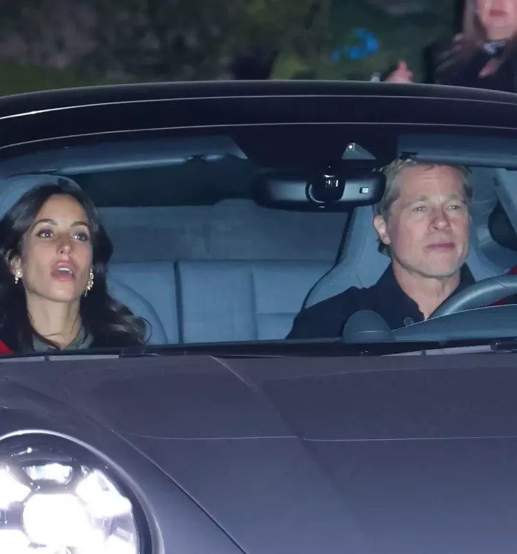 Leonardonun partisinə ulduz axını