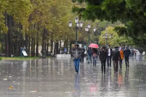 Leysan yağacaq - Diqqət