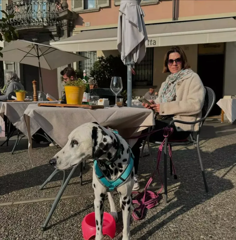 Zamiqin İtaliya turu davam edir