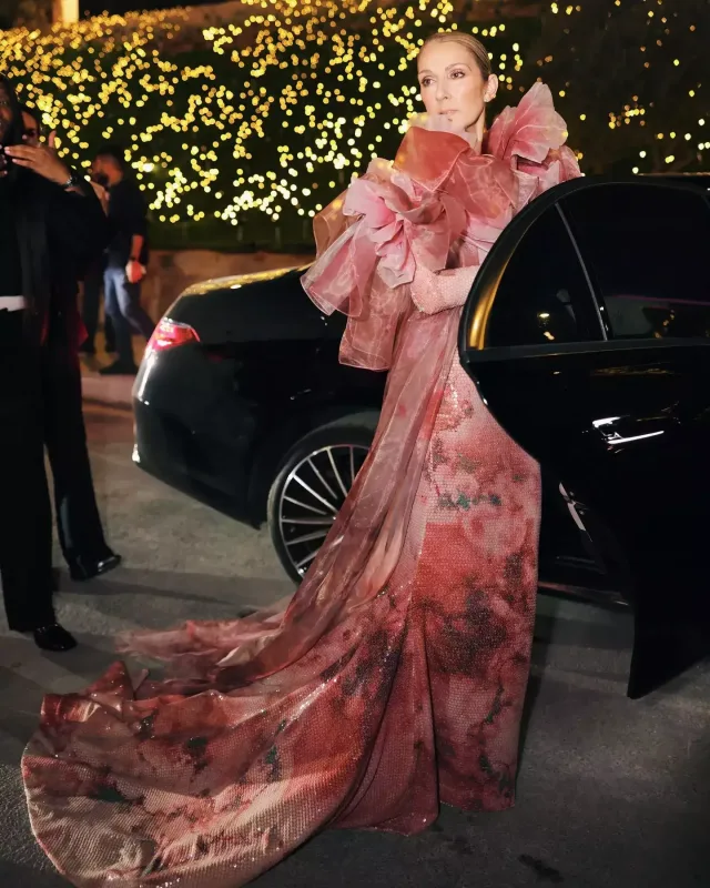 Şouya damğa vurdular