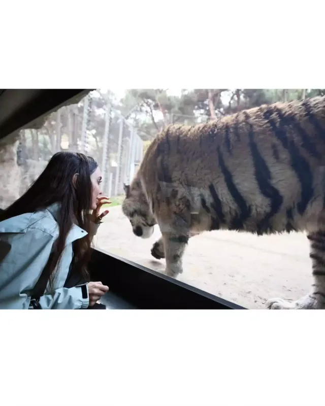 Leyla Əliyeva Bakı zooparkında