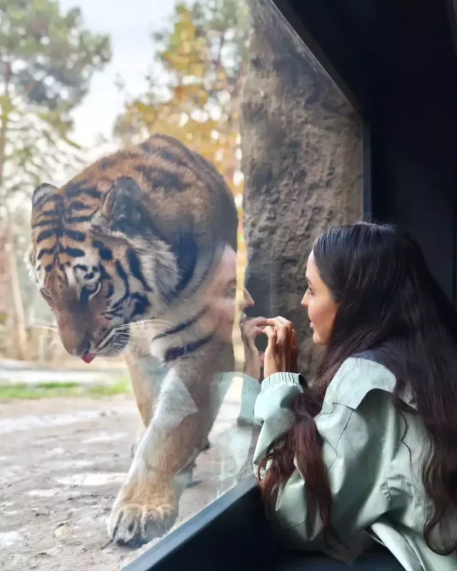 Leyla Əliyeva Bakı zooparkında