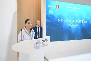 Leyla Əliyeva COP29 çərçivəsində müzakirələrdə iştirak etdi - Fotolar