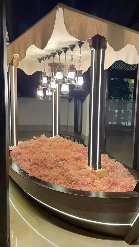 Namiqin Dubay istirahəti