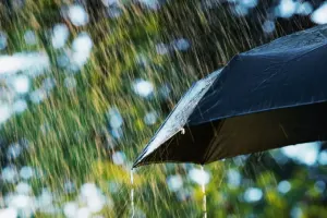 Sabah leysan yağacaq