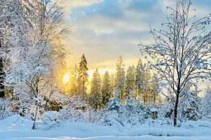 Dekabrda hava necə olacaq?