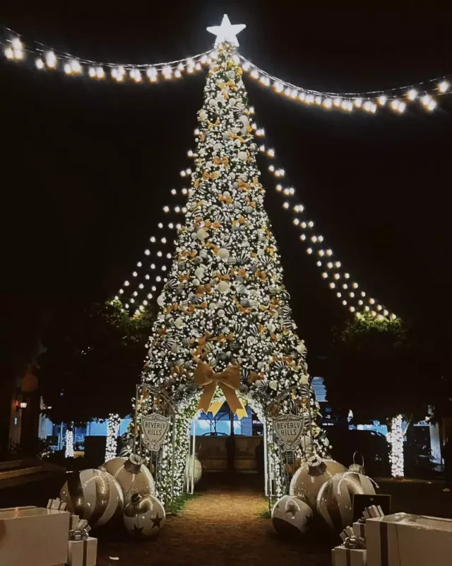 Suada baldızı ilə “Yeni İl” yarmarkasında
