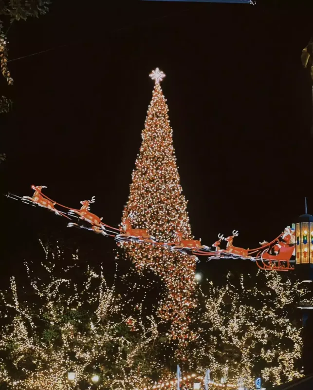 Suada baldızı ilə “Yeni İl” yarmarkasında