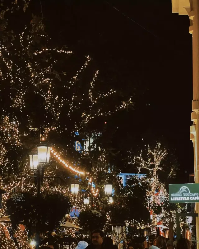 Suada baldızı ilə “Yeni İl” yarmarkasında