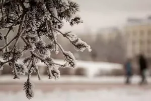 Sabah 10 dərəcə şaxta olacaq