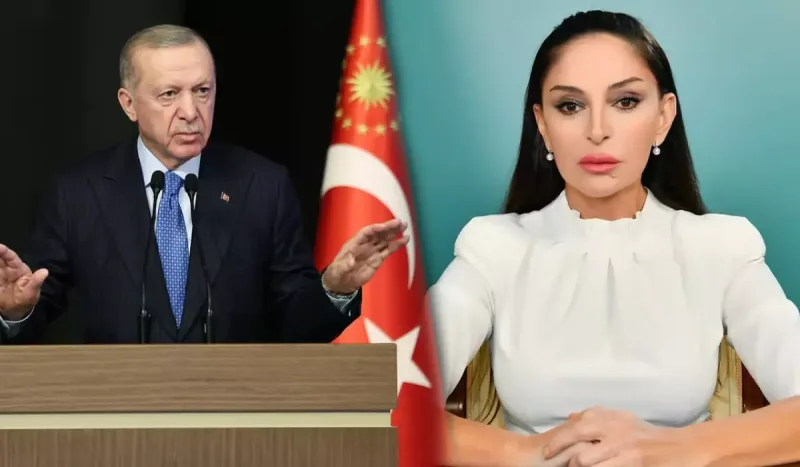 Birinci xanım Ərdoğanın ifasını paylaşdı