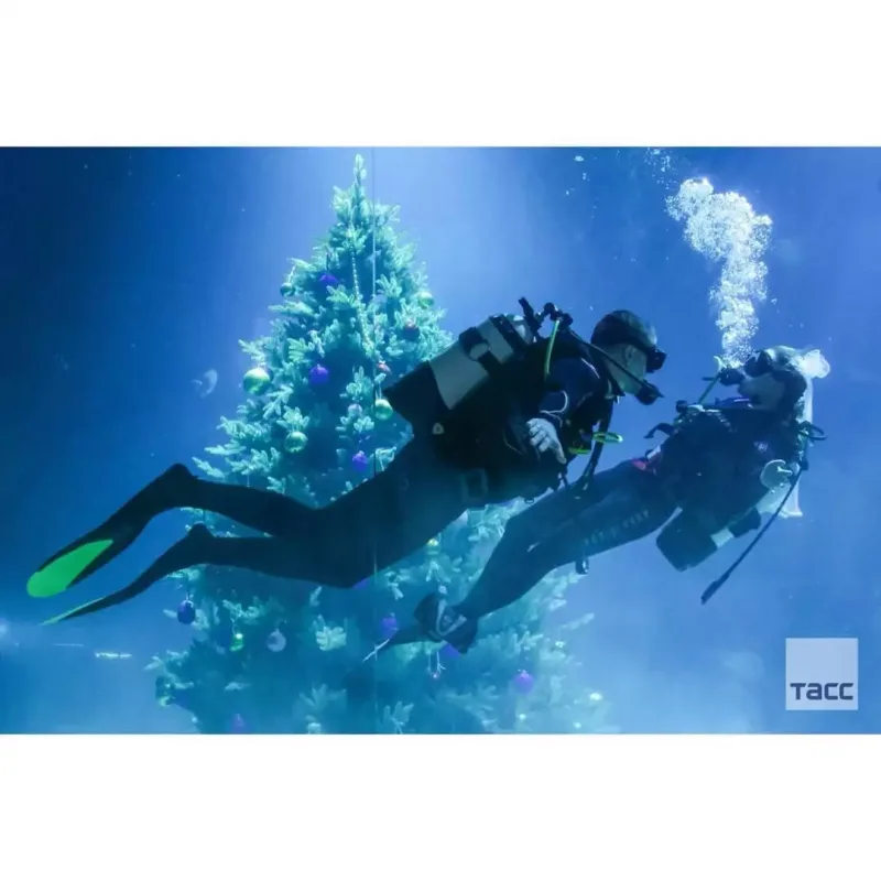 Suyun altında toy oldu