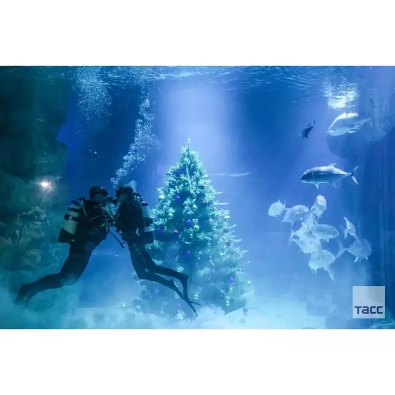 Suyun altında toy oldu