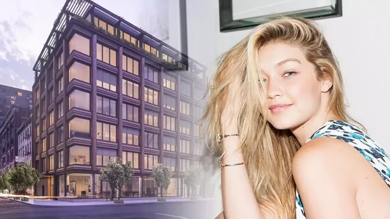 Evini siçovullar basdı