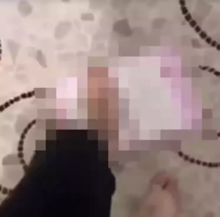 Ferdi Tayfurun fanatı saxlanıldı