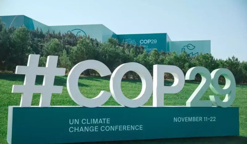 COP29-dakı könüllülərə bu qədər pul veriləcək