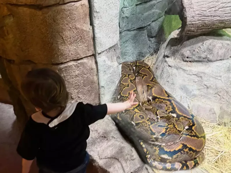 Lindsi Lohan ilk dəfə oğlunun şəkillərini yayımladı