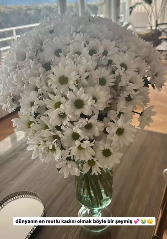 Nəsrinə sevgilisindən çobanyastığı buketi