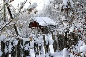 Külək güclənib, qar yağıb…