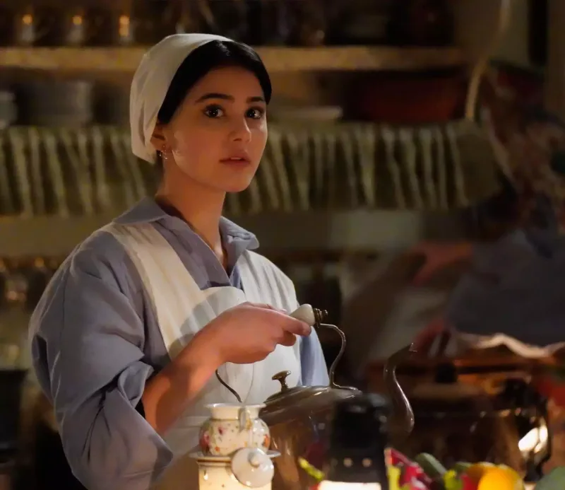 “Şakir Paşa ailesi: Mucizeler ve Skandallar”ın aktrisası iş adamı ilə eşq yaşayır