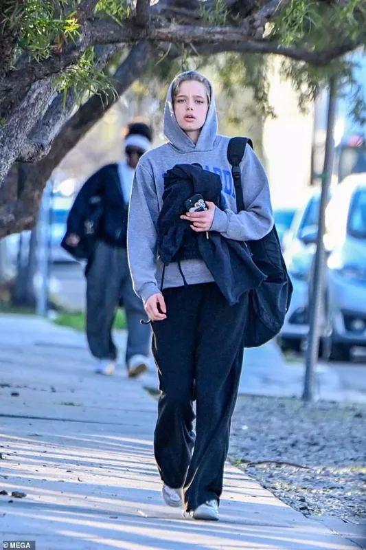 Ancelinanın özünə bənzər qızı belə görüntüləndi