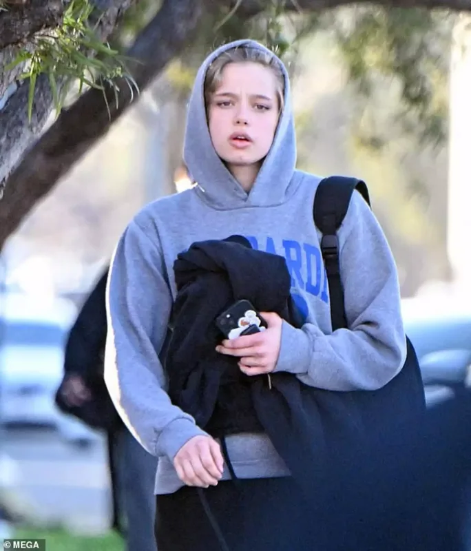 Ancelinanın özünə bənzər qızı belə görüntüləndi