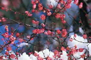 Martda hava belə olacaq