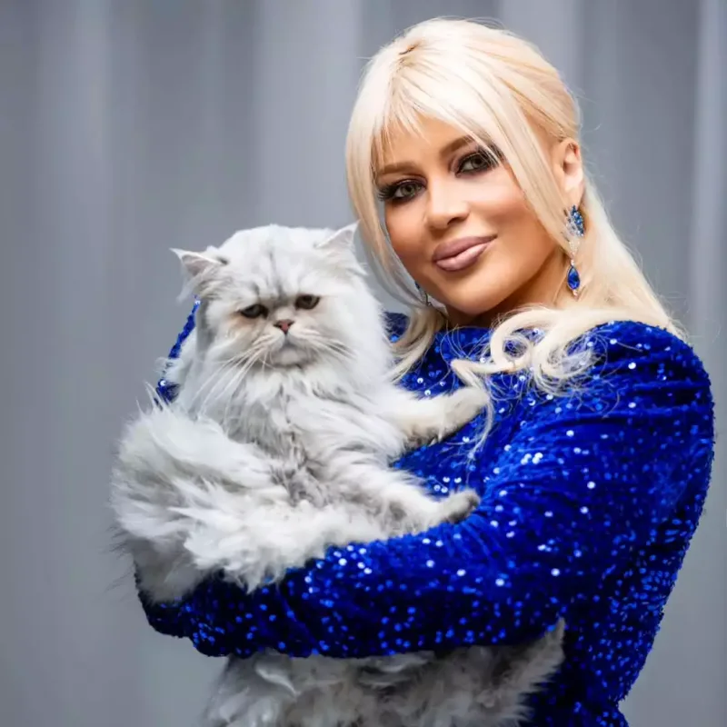 Mətanət pişiklə pozalar verdi