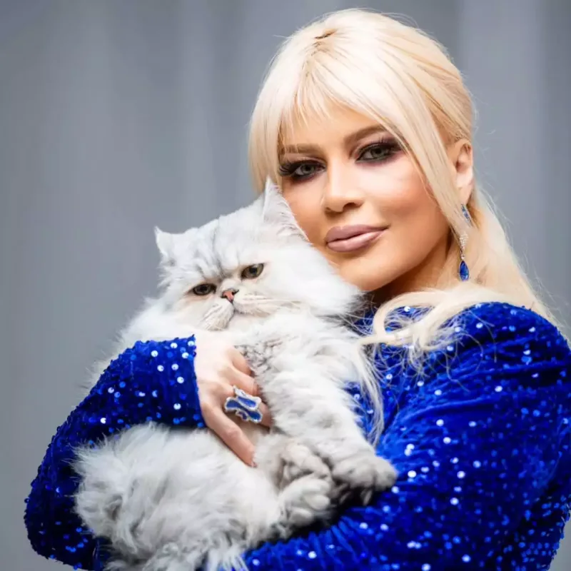 Mətanət pişiklə pozalar verdi