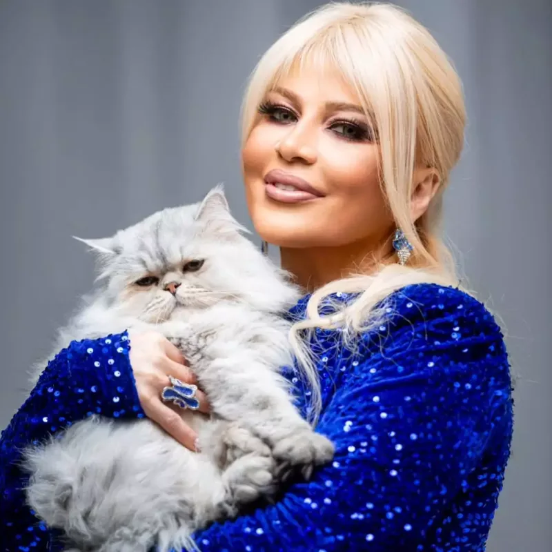 Mətanət pişiklə pozalar verdi