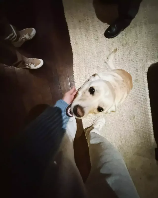 Azərbaycanlı müğənninin Amerika macəraları