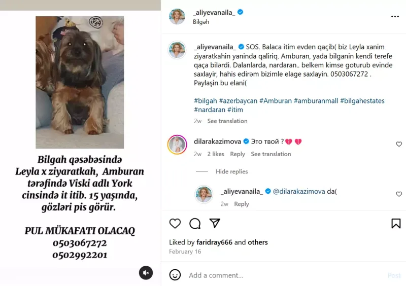 Keçmiş “Lider”in rəhbərinin xanımının iti yoxa çıxıb
