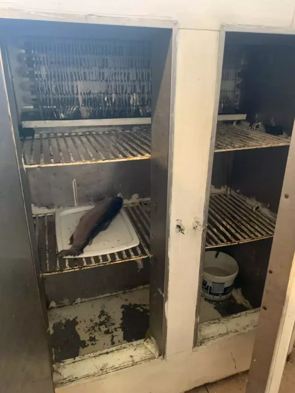 “Sərin”də mənşəyi məlum olmayan ətdən yemək hazırlanırmış