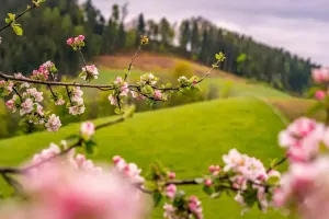 Sabah 20 dərəcə isti olacaq