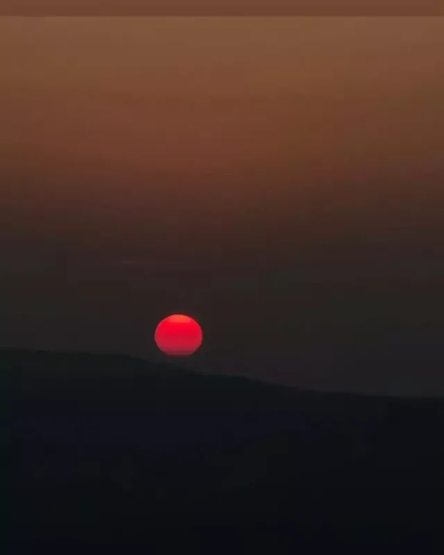 Leyla və Arzu Əliyevalar İsmayıllıda - Fotolar