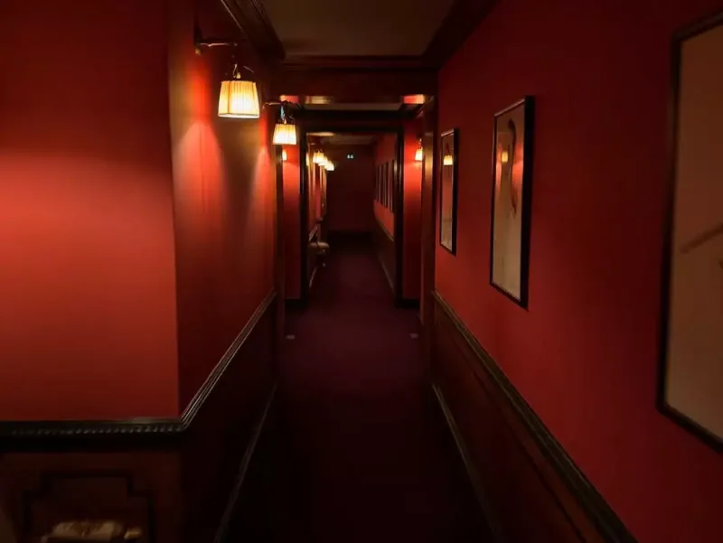 Azərbaycanlı müğənni Luvrda