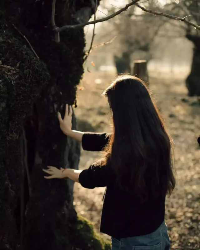 Leyla və Arzu Əliyevaların İsmayıllıdan yeni fotoları