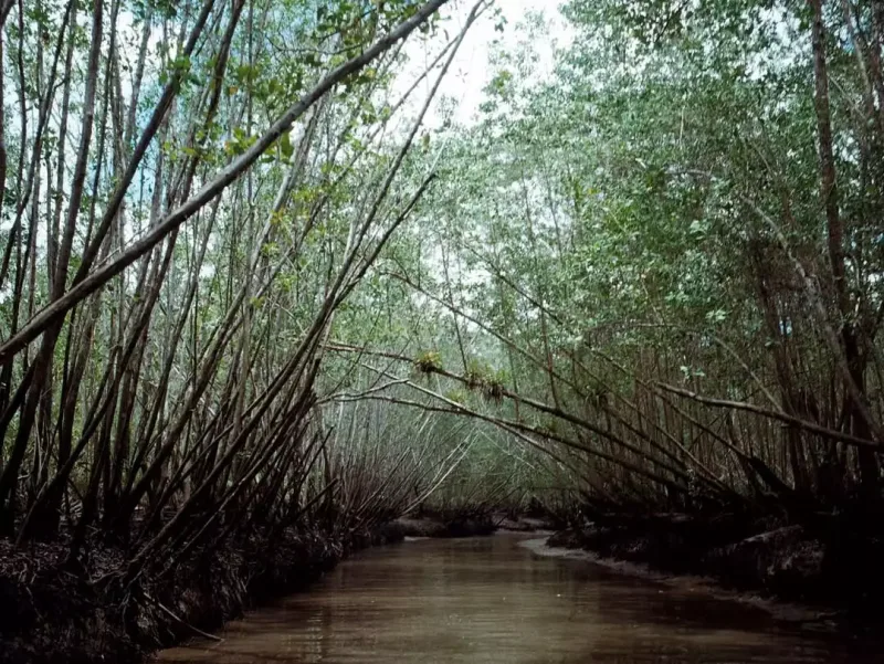 Monika Belluççinin qızı sevgilisi ilə tətildə