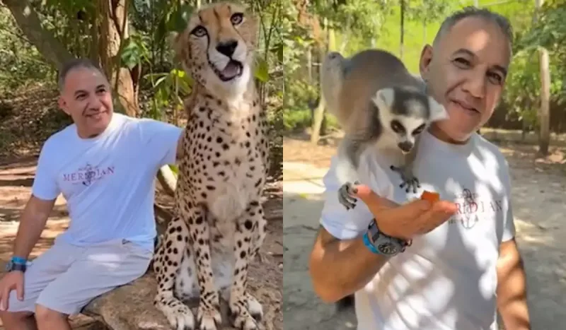 Leopardı tumarladı, lemuru yemlədi - Ədalətin Afrika tətili