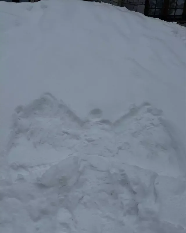 Vinsent Kassel sevgilisi və oğlu ilə belə dincəlir