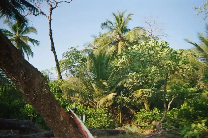 Klaudiya Şiferin qızı çimərlik geyimində bədənini nümayiş etdi