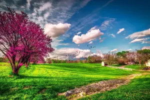 Sabah gözlənilən hava olacaq - 18° isti