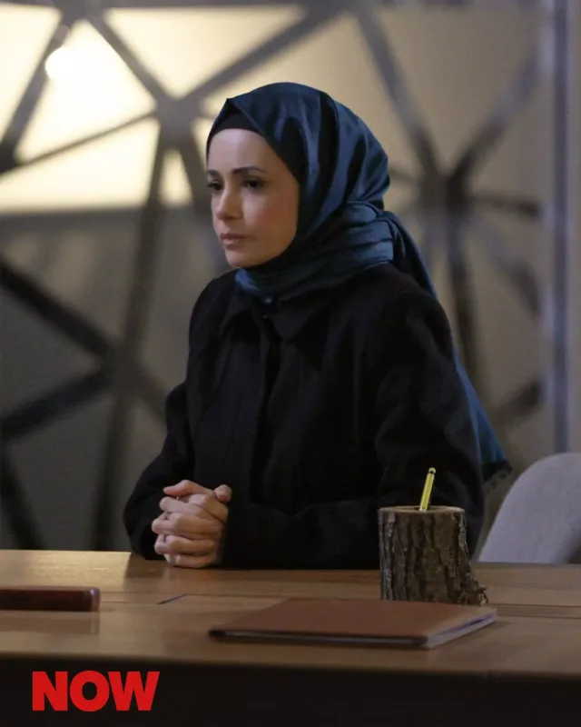 “Kızıl Goncalar” bu tarixdə final edir