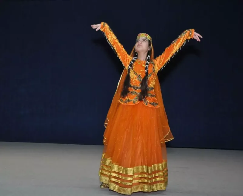 Mingəçevirdə Uşaq İncəsənət Festivalının məlumatlandırma görüşü keçirilib