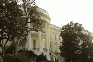 Tramp Ağ Evdəki 200 illik ağacı kəsdirəcək